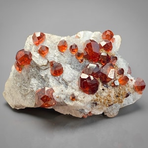 May include: A cluster of vibrant, faceted, red-orange garnet crystals embedded in a light gray rock matrix. The crystals vary in size, showcasing a natural mineral specimen. The rock has a rough, textured surface.