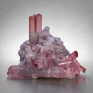 Puede incluir: Un racimo de cristales de turmalina rosa en bruto con formaciones prismáticas, translúcidas y alargadas incrustadas en una matriz mineral texturizada de color rosa más claro. El espécimen muestra tonos de rosa y magenta con bordes.
