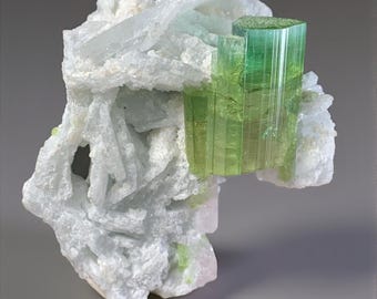 Natural Rare Bi Color Tourmaline Crystal with Albite Matrix Afghanistan Mineral Collector Specimen