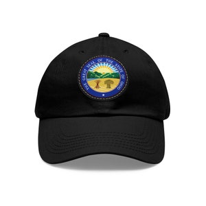 May include: A black baseball cap with a circular patch featuring the Great Seal of the State of Ohio. The seal is blue, white, and green with a red star in the center.
