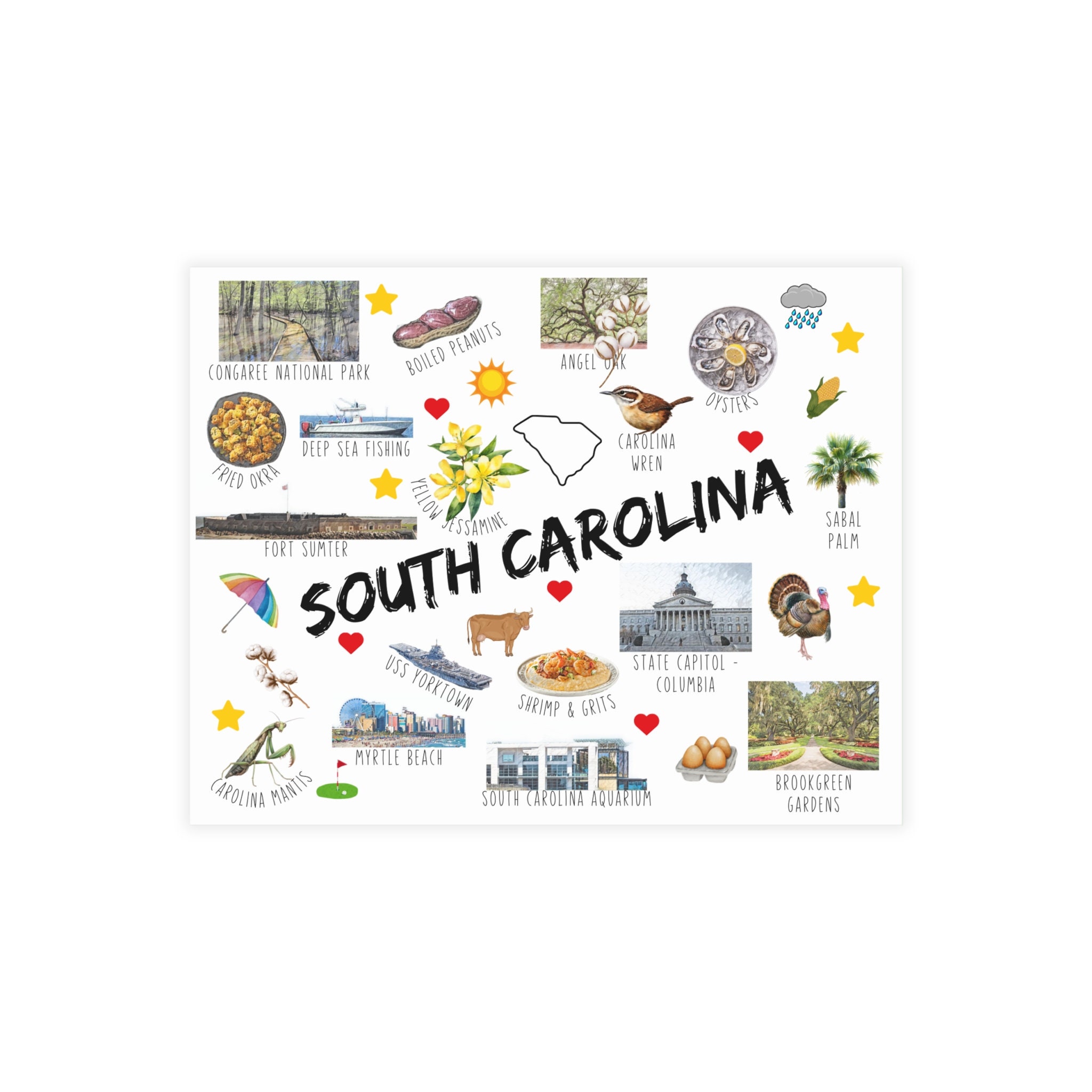 South Carolina - Postcard Bundles (envelopes not included)