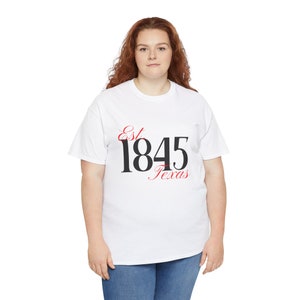 Texas Unisex Heavy Cotton Tee