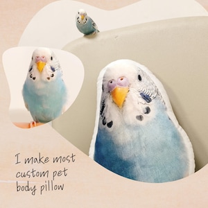 Pode incluir: Uma almofada de corpo personalizada para animais de estimação com um periquito azul e branco. A almofada é feita para parecer um pássaro real, com detalhes realistas como penas e olhos. O texto "I make most custom pet body pillow" está escrito abaixo da almofada.