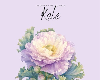 Watercolor Flower Clipart | Kale Collection (10 Digital PNG Flowers)