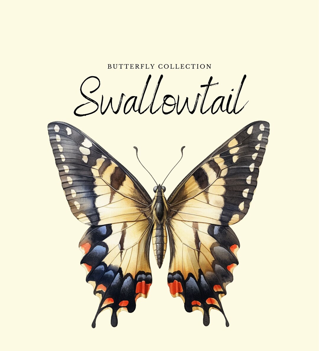Watercolor Swallowtail Clipart | Butterfly Collection - 10 Digital PNG ...