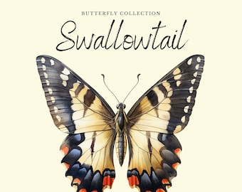 Puede incluir: Una ilustración de acuarela de una mariposa cola de golondrina con marcas negras, amarillas y naranjas en sus alas. La mariposa se representa sobre un fondo beige claro. El texto "BUTTERFLY COLLECTION Swallowtail" está escrito sobre la mariposa.
