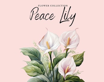 Watercolor Peace Lily Clipart | Flower Collection - 10 Digital PNG Flowers - Watercolor Clipart Designs - Printables