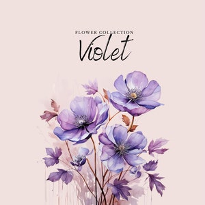 Clipart viola acquerello / Collezione di fiori - 10 fiori PNG digitali - Disegni Clipart acquerello - Stampabili