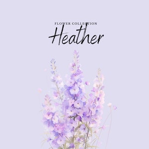 Aquarell Heather Clipart | Blumensammlung - 10 digitale PNG Blumen - Aquarell Clipart Designs - Printables