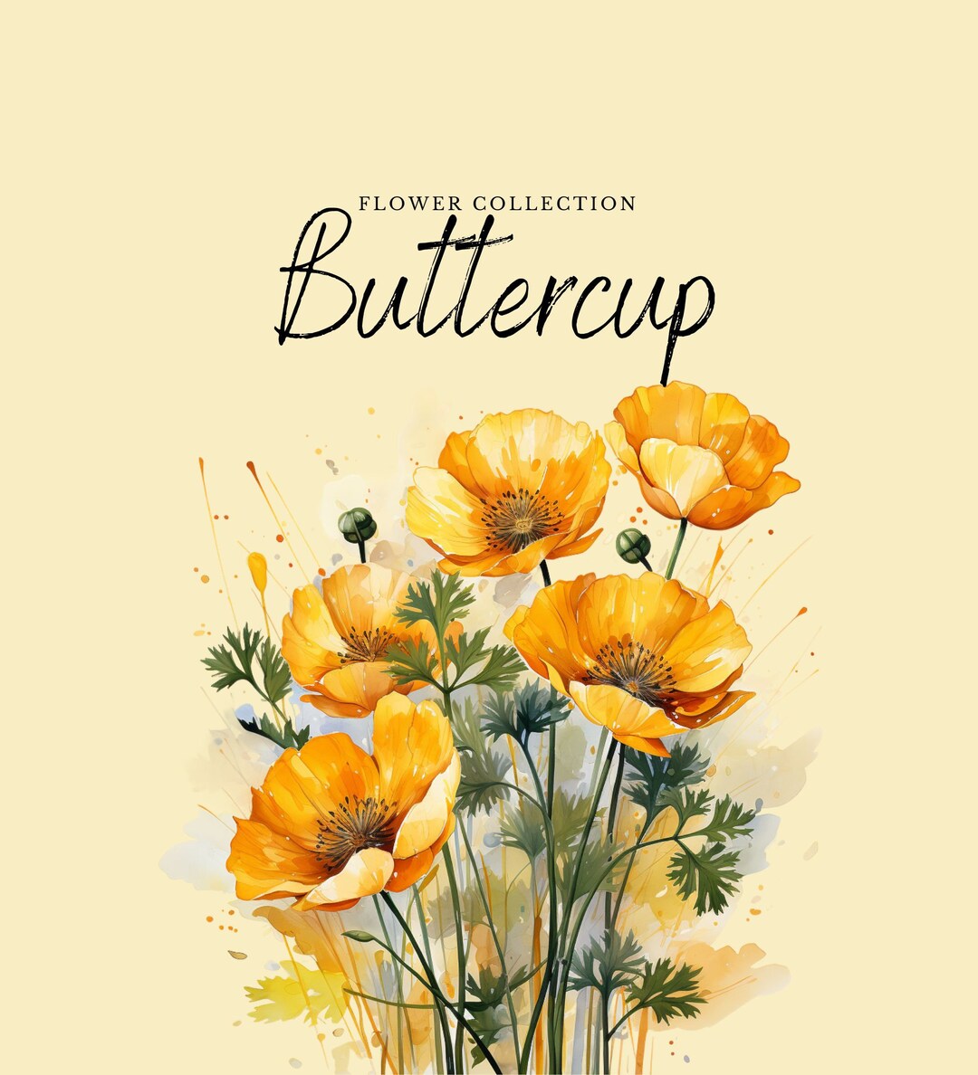 Watercolor Buttercup Clipart | Flower Collection - 10 Digital PNG ...