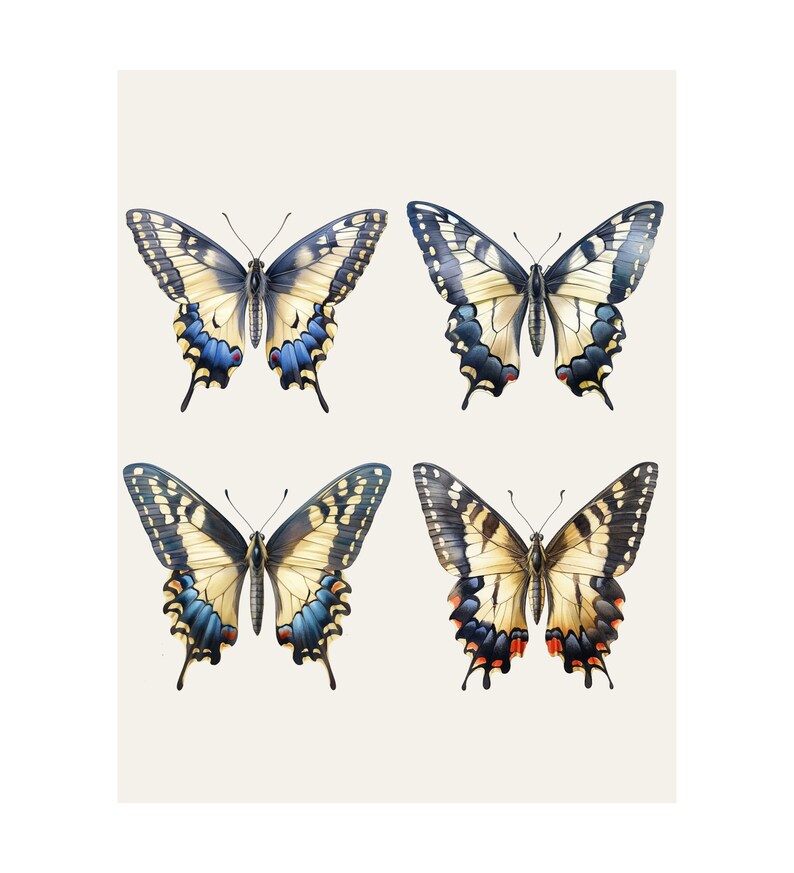 Watercolor Swallowtail Clipart | Butterfly Collection - 10 Digital PNG Butterflies - Watercolor ...