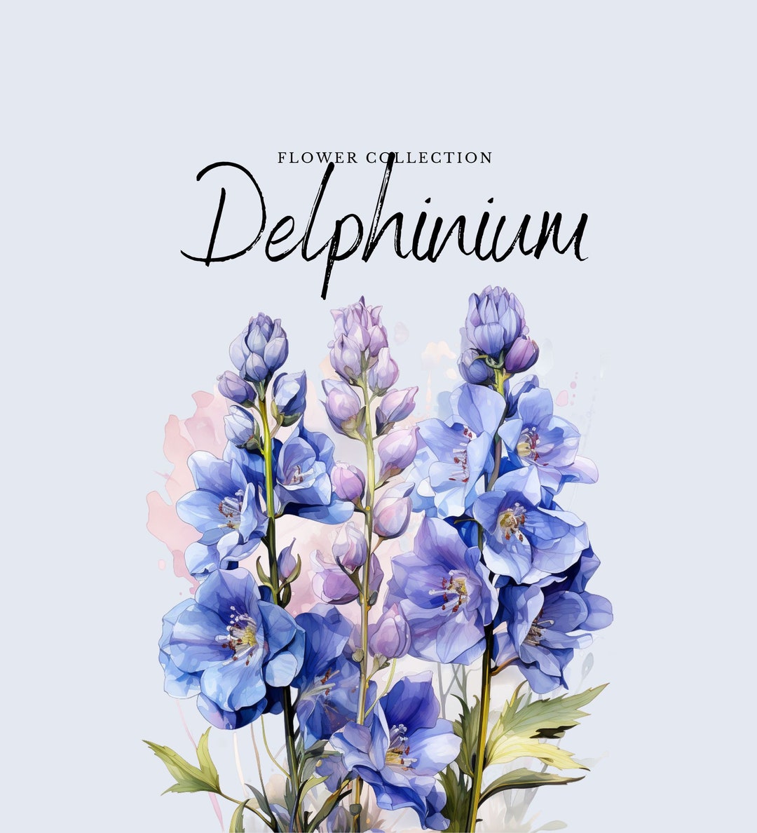Watercolor Delphinium Clipart | Flower Collection - 10 Digital PNG ...