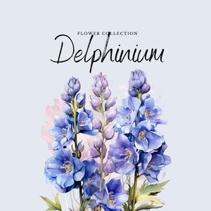 Acquerello Delphinium Clipart / Collezione di fiori - 10 fiori PNG digitali - Disegni Clipart acquerello - Stampabili