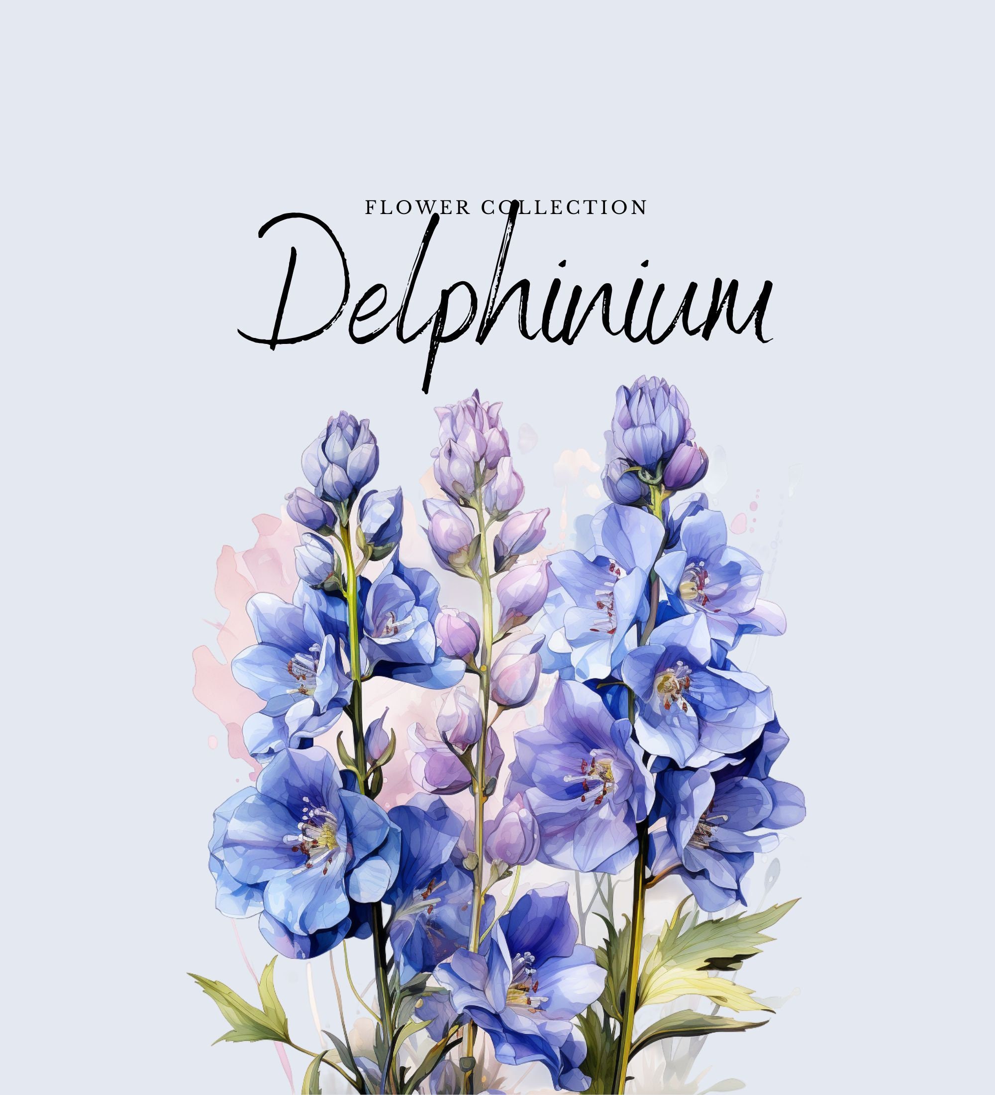 Watercolor Delphinium Flower Clipart | 10 PNG Floral Designs (digital ...