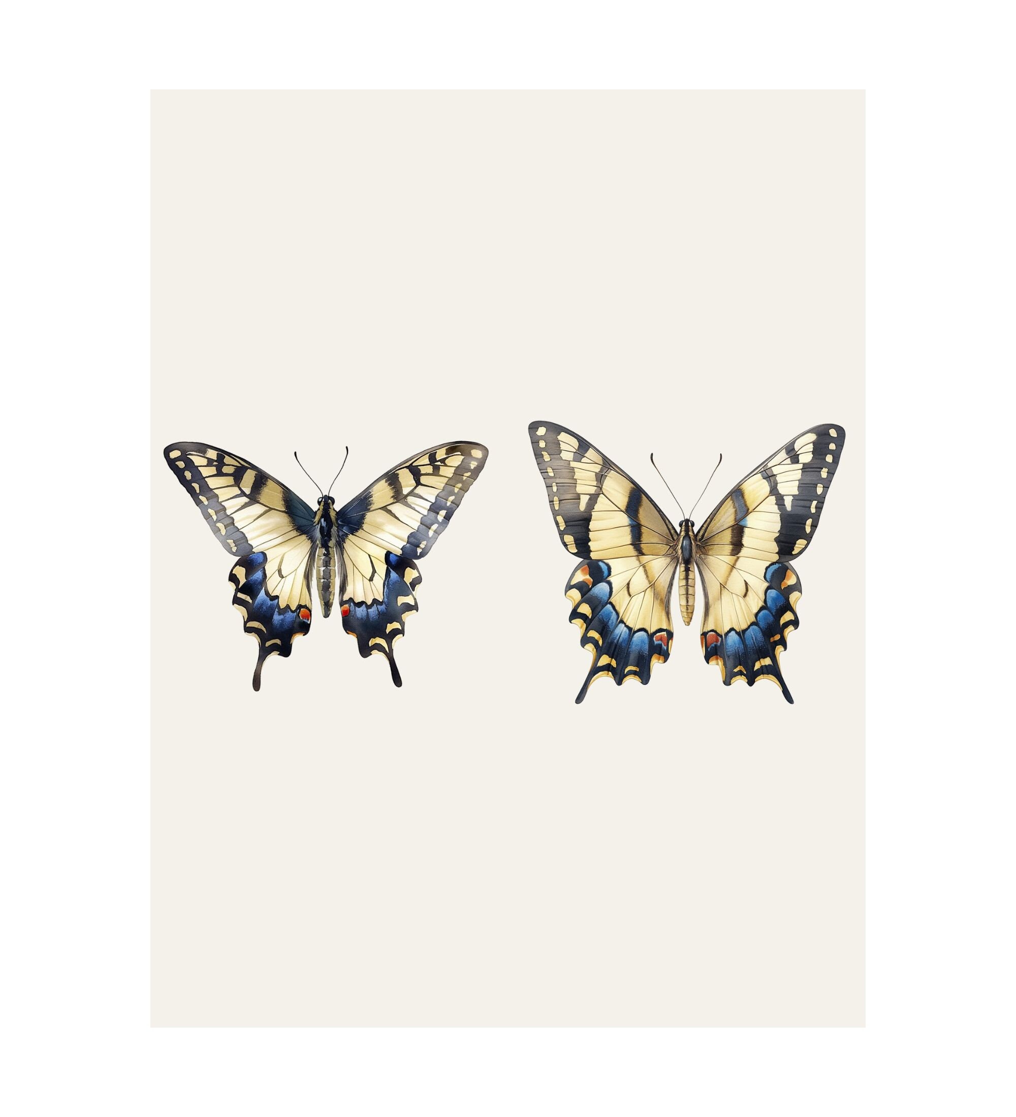 Watercolor Swallowtail Clipart | Butterfly Collection - 10 Digital PNG ...