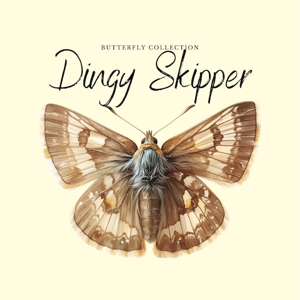 Watercolor Dingy Skipper Clipart | Butterfly Collection - 10 Digital PNG Butterflies - Watercolor Clipart Designs - Printables