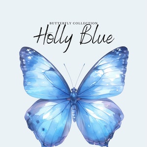 Acquerello Holly Blue Clipart / Collezione farfalla - 10 farfalle PNG digitali - Disegni Clipart acquerello - Stampabili