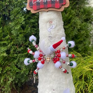 Beaded spider - Frost
