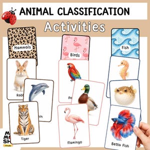 Könnte beinhalten: Lehrreiche Tierklassifizierungs-Aktivitätskarten. Die Karten zeigen Illustrationen verschiedener Tiere, darunter ein Kaninchen, ein Tiger, ein Delfin, ein Papagei, eine Ente, ein Flamingo, ein Seepferdchen, ein Kugelfisch und ein Kampffisch. Die Karten sind in Säugetiere, Vögel und Fische unterteilt.
