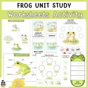 Op de afbeelding: Educatieve werkbladen voor een studie over kikkers. De pagina's tonen de levenscyclus van de kikker, de anatomie van een kikker en het voedsel van de kikker. De werkbladen zijn geïllustreerd met schattige kikkergraphics.