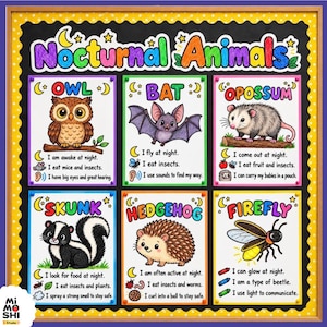 Op de afbeelding: Een rechthoekige educatieve poster getiteld Nocturnal Animals met zes kleurrijke illustraties van een uil, vleermuis, opossum, stinkdier, egel en vuurvliegje, elk voorzien van beschrijvende teksten over de gewoonten van de dieren.