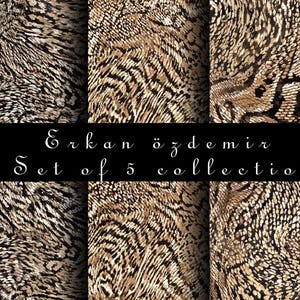 May include: Set of five digital paper patterns featuring various animal print designs in shades of brown, black, and white. The patterns include snake skin, leopard, and zebra prints. The text "Erkan özdemir Set of 5 collection png" is displayed at the bottom of the image.