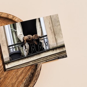 Chat français parisien | Paris, France | Carte postale de photographie de voyage (téléchargement numérique | modèle imprimable)