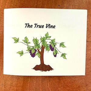 May include: A white page with the text "The True Vine" in black cursive font. An illustration of a vine with green leaves and purple grapes is below the text.