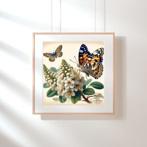Illustration botanique arbre à papillons