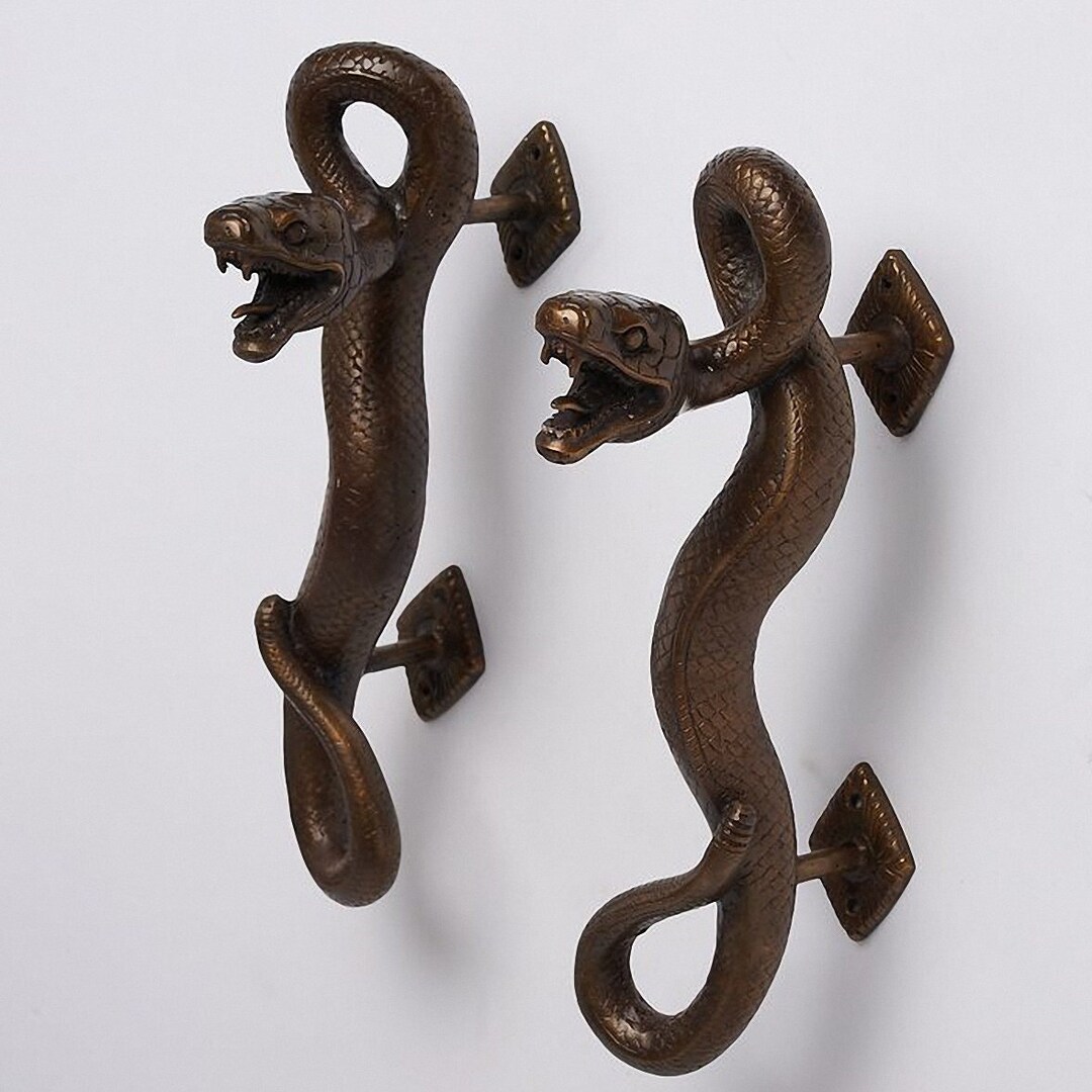Snakes Door Handles Pair of Brass Door Handles Home Accents Style