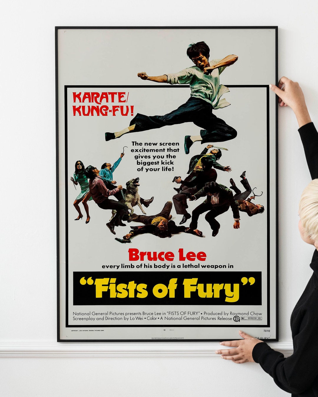 ポスター DEADLY KUNG-FU GIRL Silk Screen Print DEADLY KUNG-FU GIRL