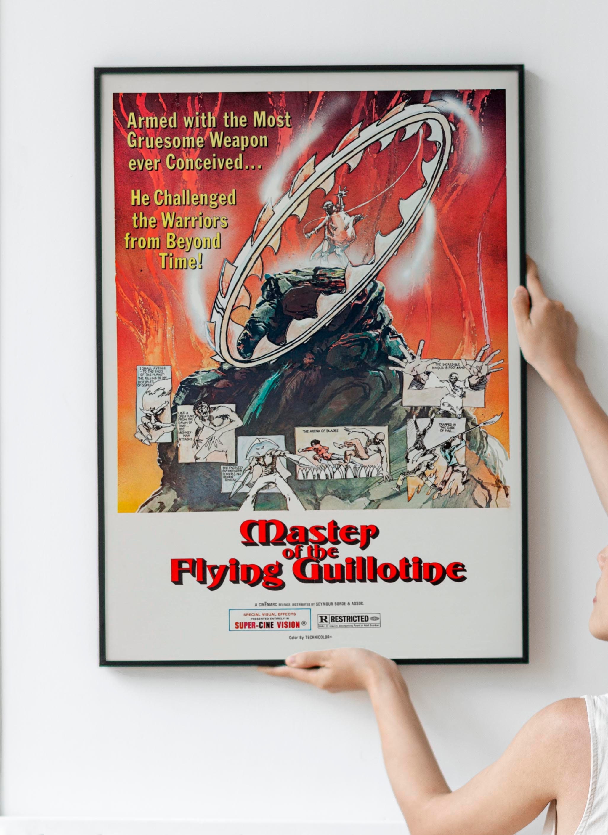 ポスター DEADLY KUNG-FU GIRL Silk Screen Print ポスター DEADLY