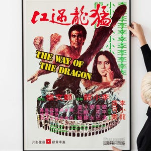 Póster de película de artes marciales vintage de los años 70: póster de película retro, kung fu clásico, arte mural de películas de acción, decoración cinematográfica coleccionable