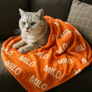 Puede incluir: Un gato atigrado plateado est&aacute; acurrucado en una manta naranja. La manta est&aacute; impresa con el nombre "MILO" en letras blancas. El gato tiene ojos verdes y descansa sobre un sof&aacute; gris.