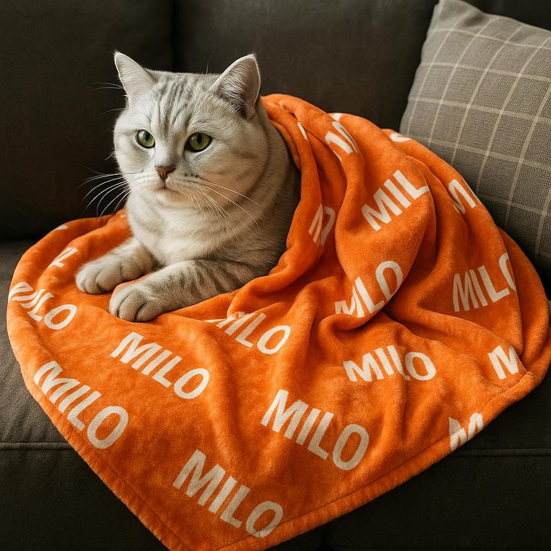 Puede incluir: Un gato atigrado plateado est&aacute; acurrucado en una manta naranja. La manta est&aacute; impresa con el nombre "MILO" en letras blancas. El gato tiene ojos verdes y descansa sobre un sof&aacute; gris.