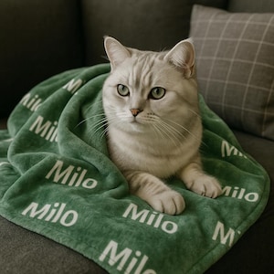 Puede incluir: Un gato atigrado plateado est&aacute; envuelto en una manta verde. La manta est&aacute; impresa con el nombre "Milo" en blanco. El gato tiene ojos verdes y descansa sobre un sof&aacute; gris. Un coj&iacute;n gris a cuadros est&aacute; en el fondo.