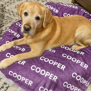 May include: A golden Labrador Retriever lies on a purple dog bed. The bed is covered in the word "COOPER" in white lettering. The dog is looking at the camera.