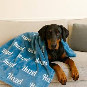 Puede incluir: Un perro Doberman Pinscher negro y canela descansa sobre un sof&aacute; gris claro, cubierto por una manta azul. La manta est&aacute; impresa con el nombre "Hazel" en escritura blanca. El perro mira directamente a la c&aacute;mara.