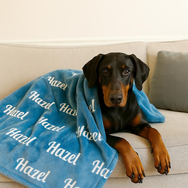 Puede incluir: Un perro Doberman Pinscher negro y canela descansa sobre un sof&aacute; gris claro, cubierto por una manta azul. La manta est&aacute; impresa con el nombre "Hazel" en escritura blanca. El perro mira directamente a la c&aacute;mara.