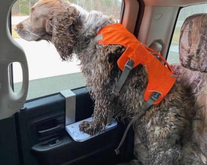 CarPaws Step 10 inch