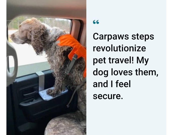 CarPaws Step 10 inch