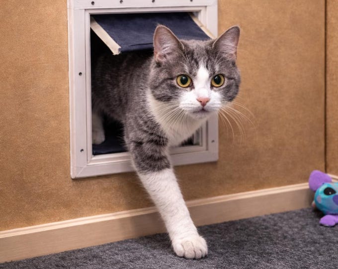 Medium/Large Dog Door Flap