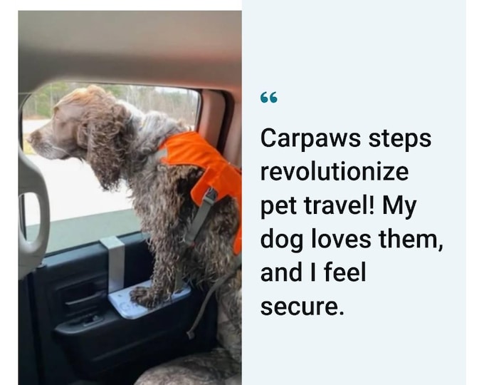 CarPaws Step 10 inch
