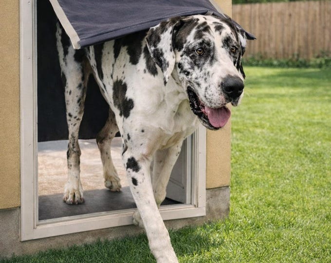 Custom size dog door flap