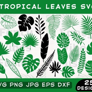 Tropical Leaves Svg, Tropical Leaf Svg, Palm Leaves Svg, Monstera Leaf Png, Jungle Leaves Svg, Palm Branch Svg, Green Leaf Svg Bundle PNG