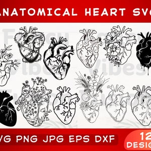 Anatomisch hart Svg, hart Svg, medische Svg, Wildflower Svg, hart Clipart, menselijke organen Svg, Flower Heart Svg, anatomie Svg, lichaamsdelen Svg
