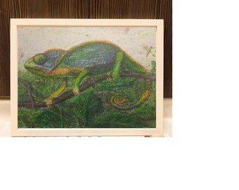 Camaleonte - disegno a pastello su carta. Dimensioni 8 x 10 pollici. animale esotico