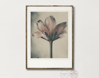 Vintage Polaroid Flower Print | Hand-Tinted Botanical (Digital Download)