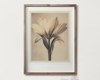 Botanical Flower Print | Sepia Tone Vintage Wall Art (Digital Download)