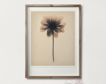 Botanical Photogram Flower Print | Dark Academic Nature Art | Vintage Photography (Digital Download)